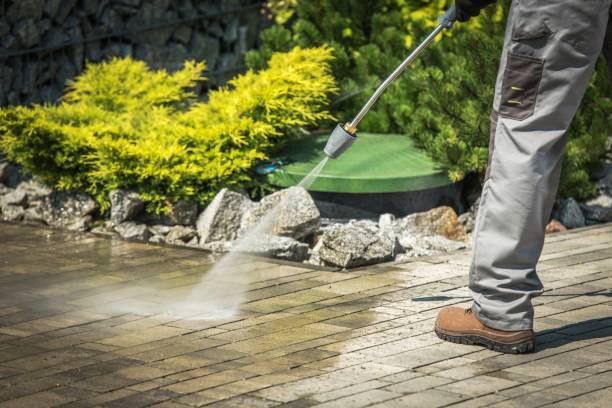 Best Playground Equipment Cleaning  in Lely Resort, FL