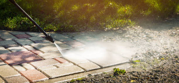 Best Dumpster Area Cleaning  in Lely Resort, FL